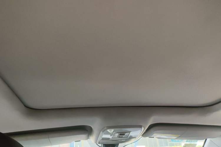 Used Leopaard CS10 2017 2.0T Manual Excellence Edition Headliner