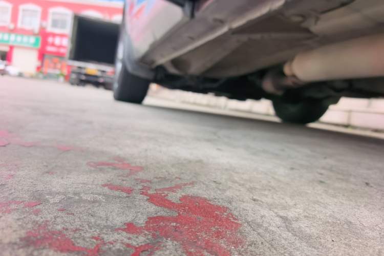 Used Leopaard CS10 2017 1.5T CVT Luxury Model Left Side Sill