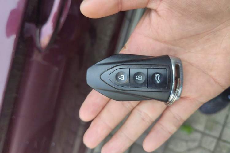 Used Leopaard CS10 2017 2.0T Automatic Urban Version Vehicle Key