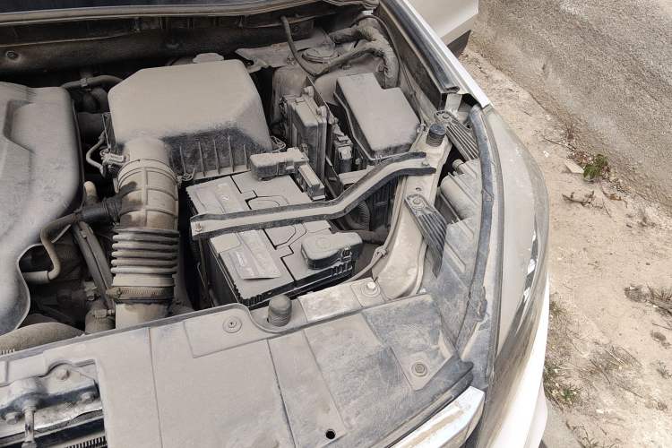 Used Leopaard CS10 2017 2.0T Automatic Luxury Model Engine Bay Left