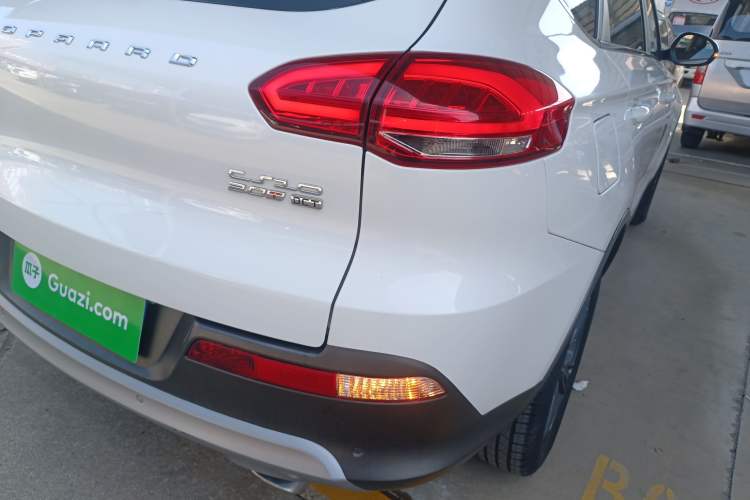 Used Leopaard CS10 2017 2.0T Automatic Urban Version Exterior 3