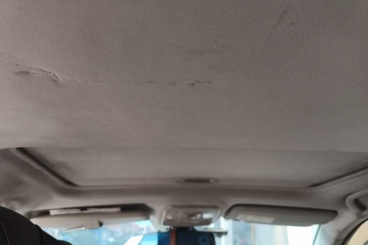 Used Leopaard CS10 2017 1.5T CVT Luxury Model Headliner