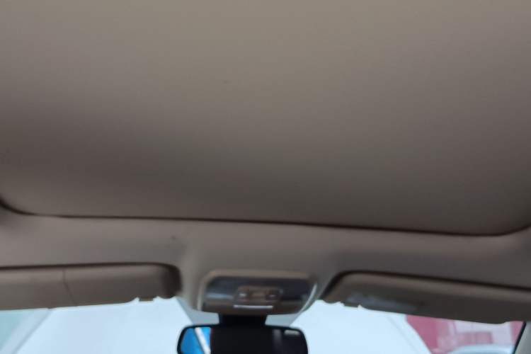 Used Leopaard CS10 2017 2.0T Automatic Luxury Model Headliner