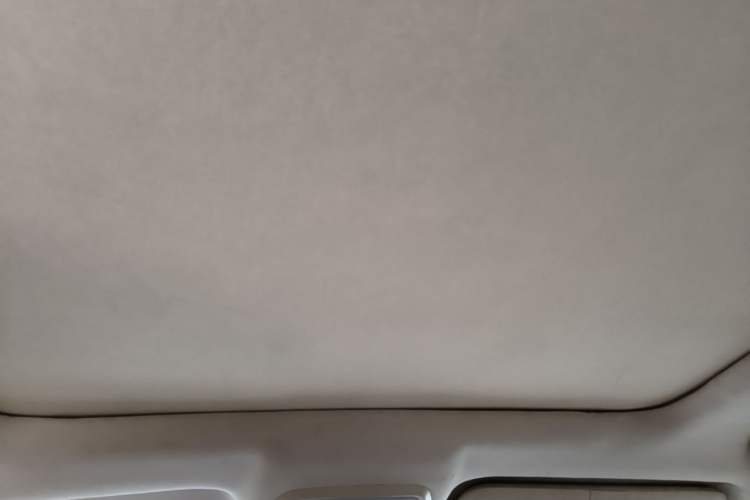 Used Leopaard CS10 2017 2.0T Automatic Luxury Model Headliner