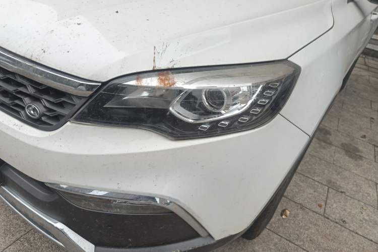 Used Leopaard CS10 2017 2.0T Automatic Luxury Model Left Front Headlight