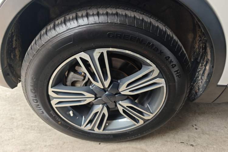 Used Leopaard CS10 2017 1.5T Manual Prestige Model Left Front Wheel Hub