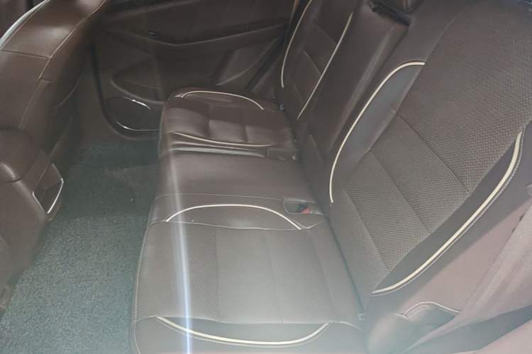 Used Leopaard CS10 2017 1.5T CVT Luxury Model Left Rear Seat