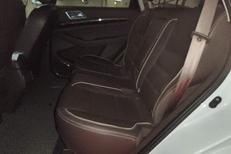 Used Leopaard CS10 2017 2.0T Automatic Urban Version Left Rear Seat