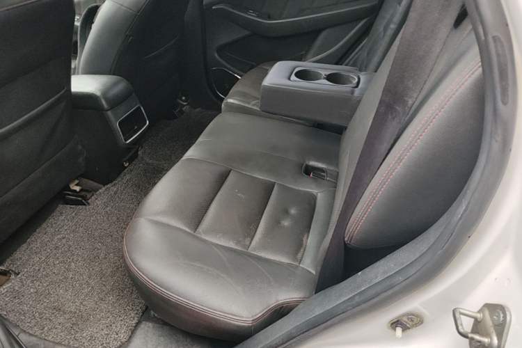 Used Leopaard CS10 2017 2.0T Automatic Urban Version Left Rear Seat