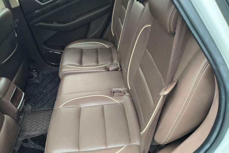 Used Leopaard CS10 2017 2.0T Automatic Urban Version Left Rear Seat