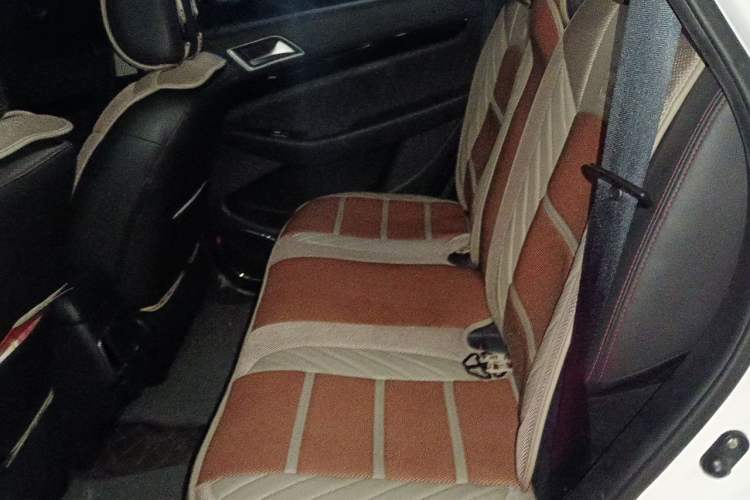 Used Leopaard CS10 2017 2.0T Automatic Luxury Model Left Rear Seat