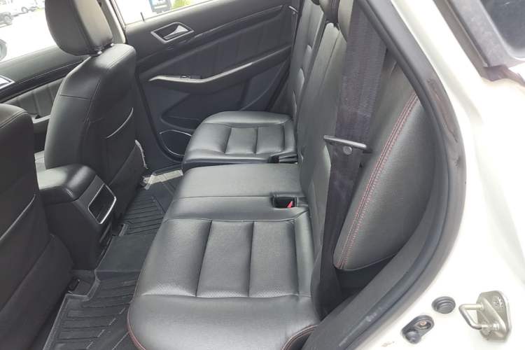 Used Leopaard CS10 2017 2.0T Automatic Urban Version Left Rear Seat