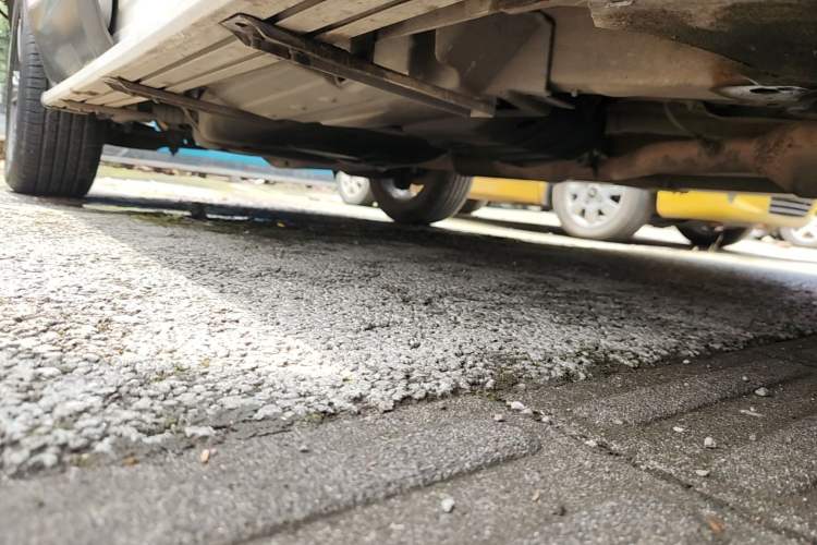 Used Leopaard CS10 2017 2.0T Automatic Urban Version Right Side Sill