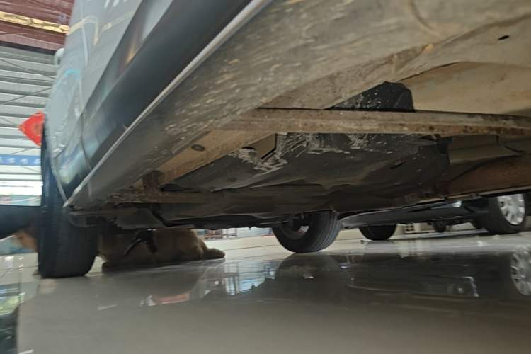 Used Leopaard CS10 2017 2.0T Automatic Urban Version Right Side Sill