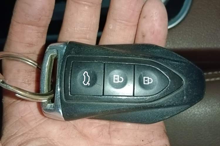 Used Leopaard CS10 2017 2.0T Automatic Luxury Model Vehicle Key