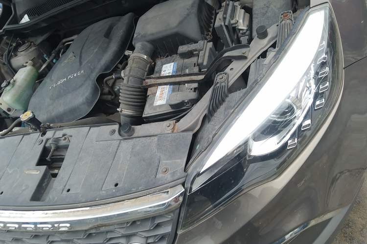 Used Leopaard CS10 2017 2.0T Automatic Urban Version Engine Bay Left
