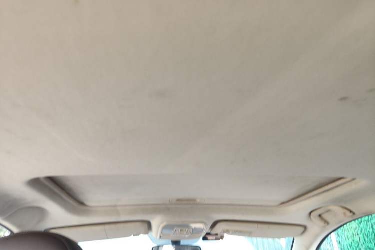 Used Leopaard CS10 2017 2.0T Automatic Urban Version Headliner
