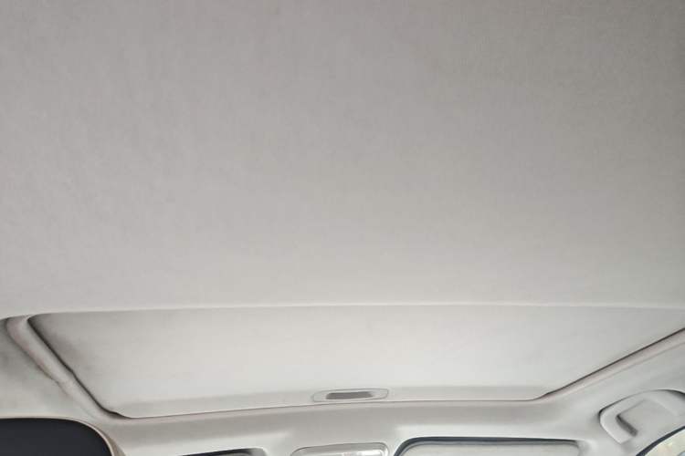 Used Leopaard CS10 2019 1.5T CVT Driving Comfort Edition Headliner