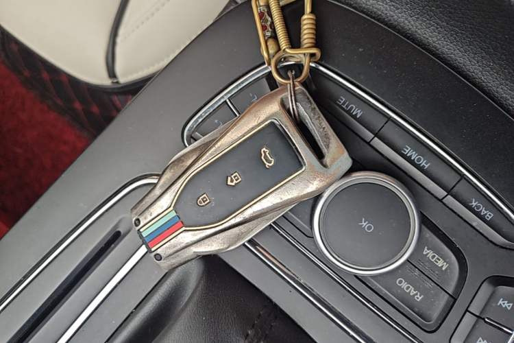 Used Leopaard CS10 2019 1.5T CVT Driving Comfort Edition Vehicle Key