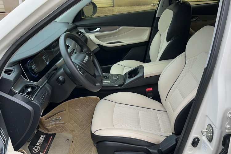 Used Leopaard CS10 2019 2.0T Automatic Drive Yue Edition Left Front Seat