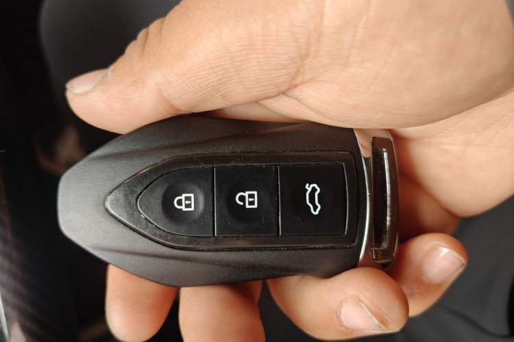 Used Leopaard CS9 2017 1.5L Manual Fashion Model Vehicle Key
