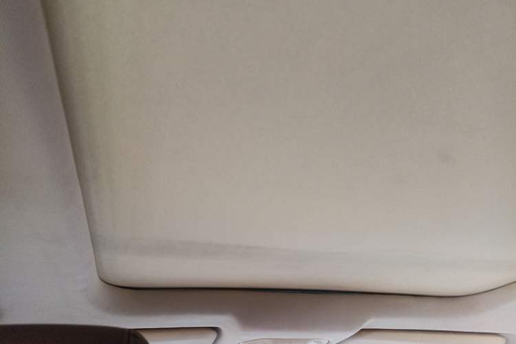 Used Leopaard CS9 2017 1.5L CVT Comfort Model Headliner