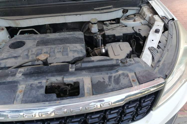 Used Leopaard CS9 2017 1.5L Manual Fashion Model Engine Bay Left
