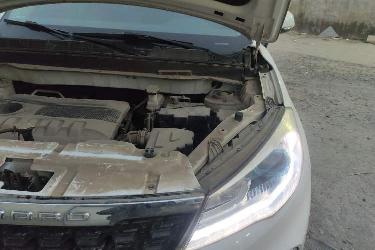 Used Leopaard CS9 2017 1.5L CVT Fashion Edition Engine Bay Left