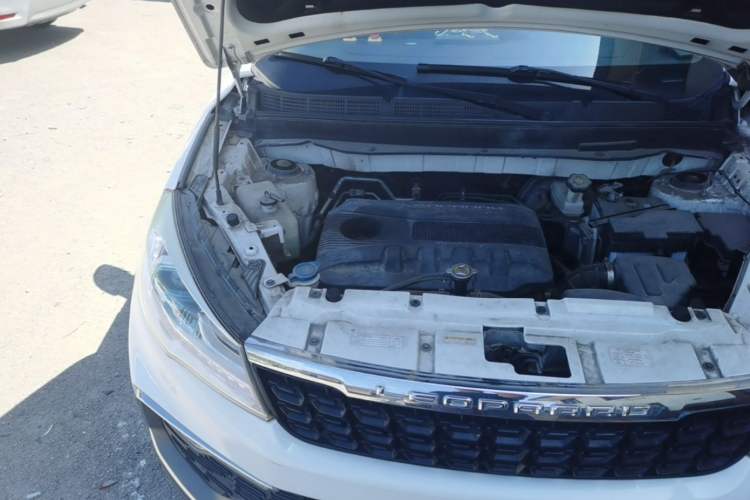 Used Leopaard CS9 2017 1.5L CVT Comfort Model Engine Bay Right