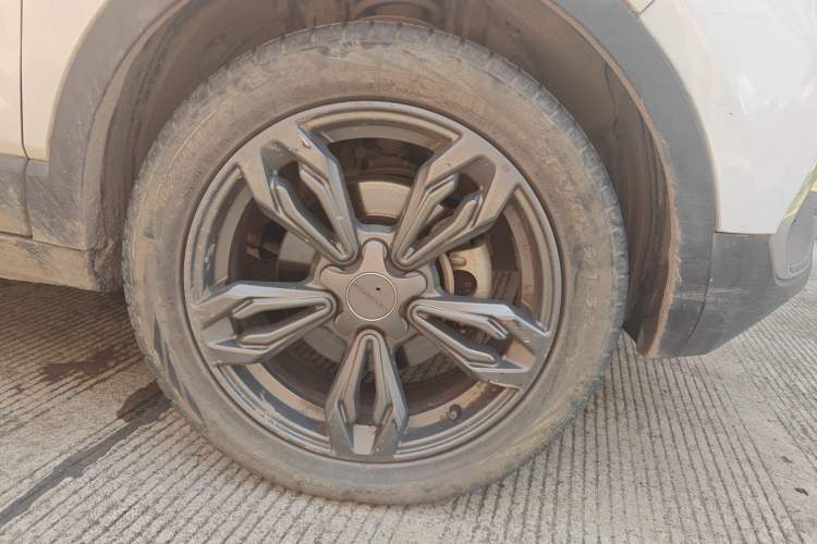 Used Leopaard CS9 2017 1.5L Manual Fashion Model Exterior 7