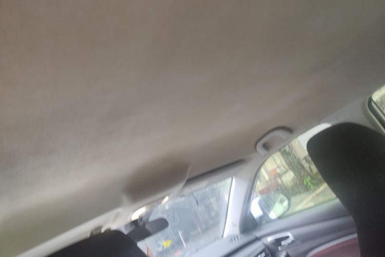 Used Leopaard CS9 2017 1.5L Manual Fashion Model Headliner