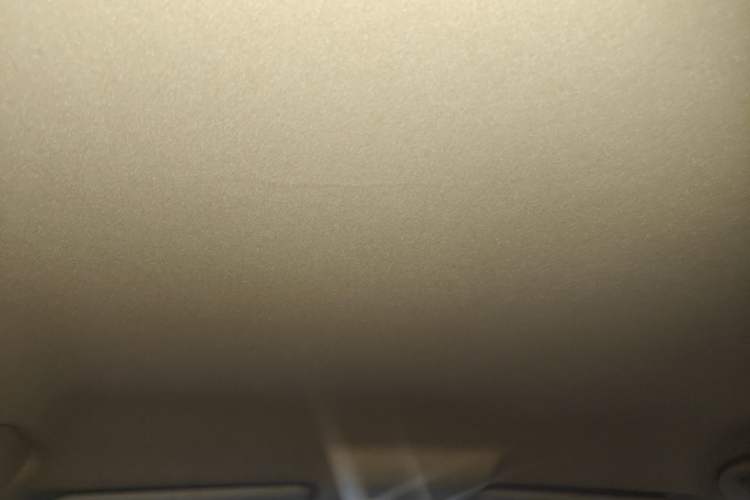Used Leopaard CS9 2017 1.5L Manual Fashion Model Headliner