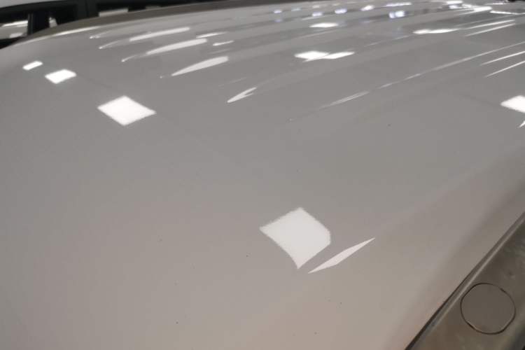 Used Leopaard CS9 2017 1.5L CVT Fashion Edition Roof