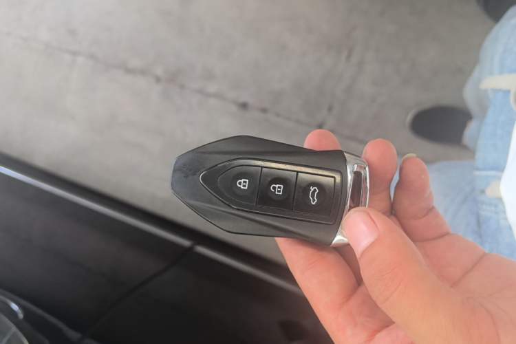 Used Leopaard CS9 2017 1.5L Manual Fashion Model Vehicle Key