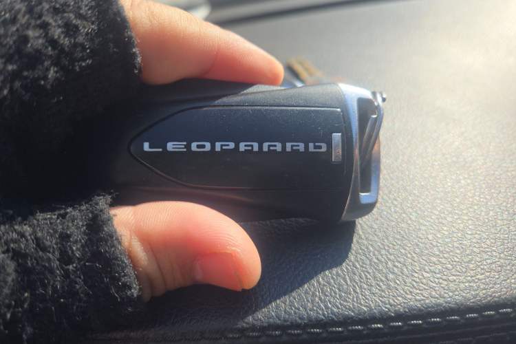 Used Leopaard CS9 2017 1.5L Manual Fashion Model Vehicle Key