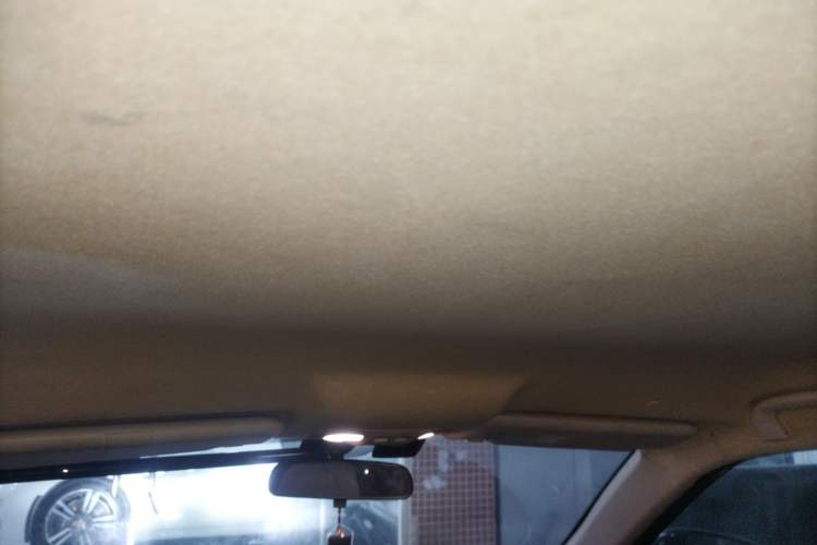 Used Leopaard CS9 2018 1.5T CVT Jingrui Model Headliner