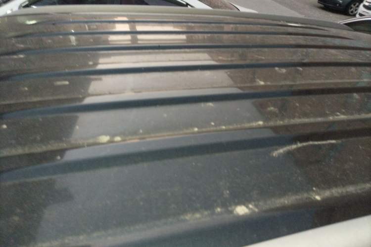 Used Leopaard CS9 2018 1.5T CVT Jingrui Model Roof