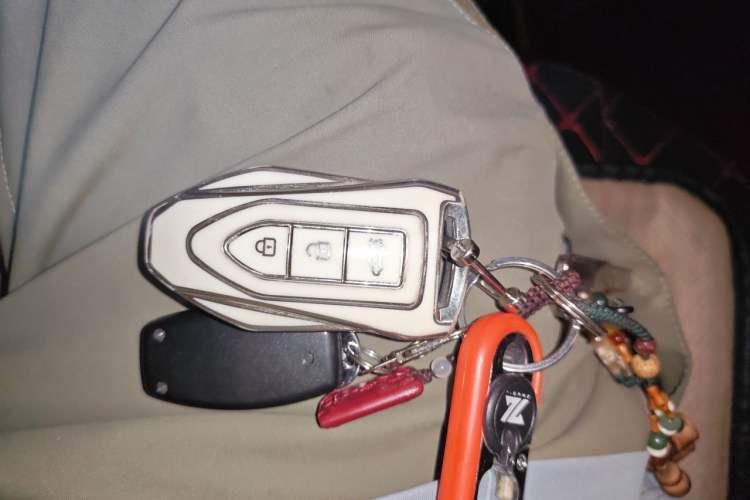Used Leopaard CS9 2018 1.5T CVT Jinglang Model Vehicle Key
