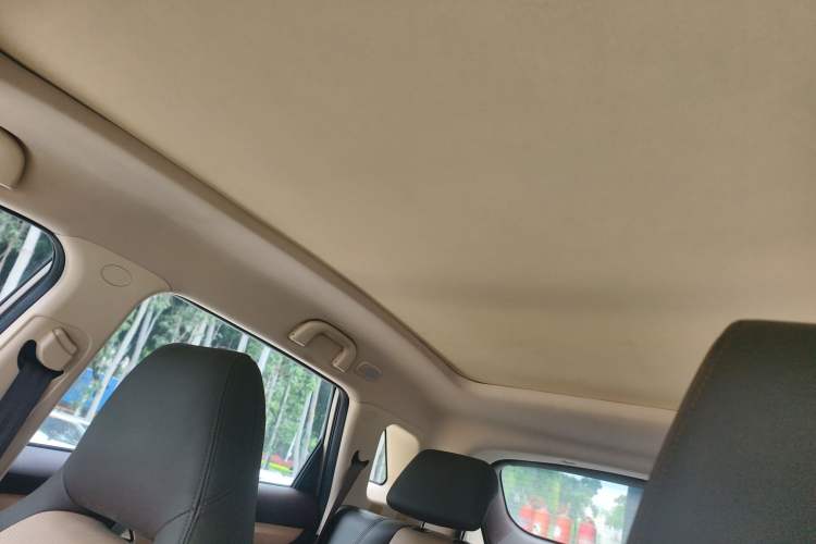 Used Leopaard CS9 2018 1.5T CVT Dynamic Model Headliner