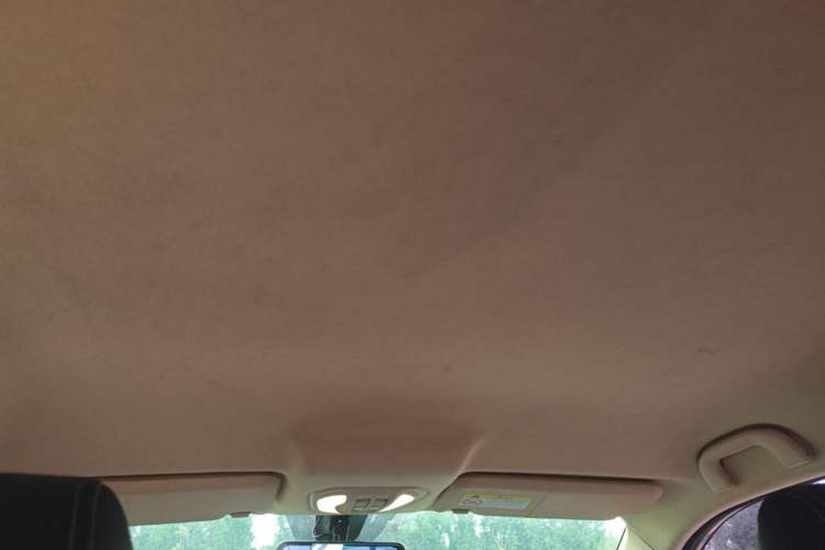 Used Leopaard CS9 2018 1.5T Manual Jingfeng Model Headliner