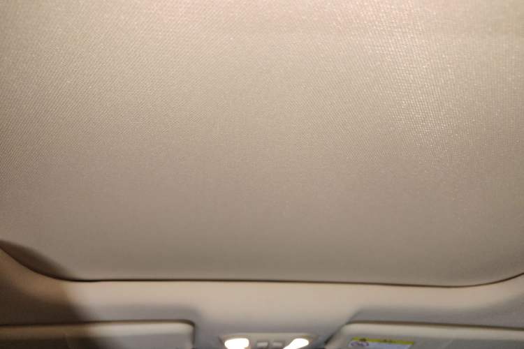 Used Leopaard CS9 2018 1.5T Manual Jingku Model Headliner