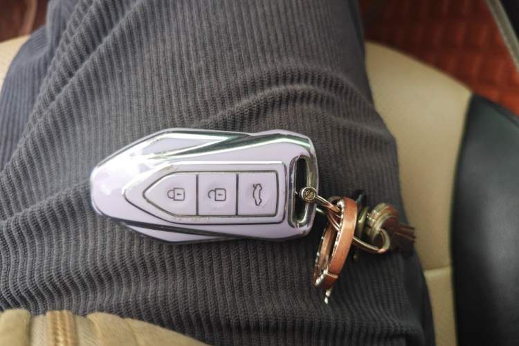 Used Leopaard CS9 2018 1.5T Manual Jingfeng Model Vehicle Key