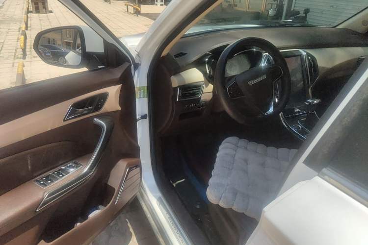Used Leopaard CS9 2018 1.5T CVT Jingrui Model Driver Seat