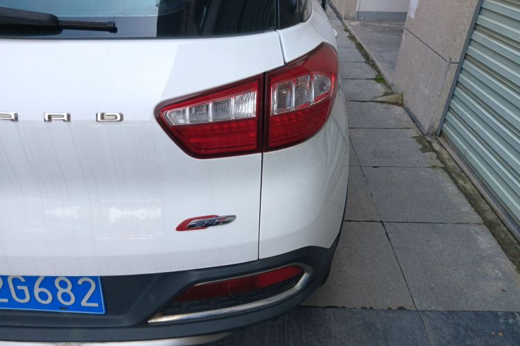 Used Leopaard CS9 2018 1.5T Manual Jingku Model Exterior 3