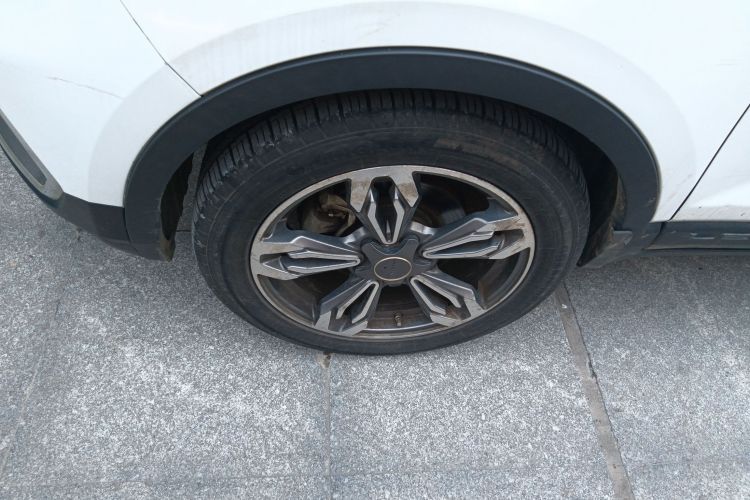Used Leopaard CS9 2018 1.5T Manual Jingku Model Exterior 4