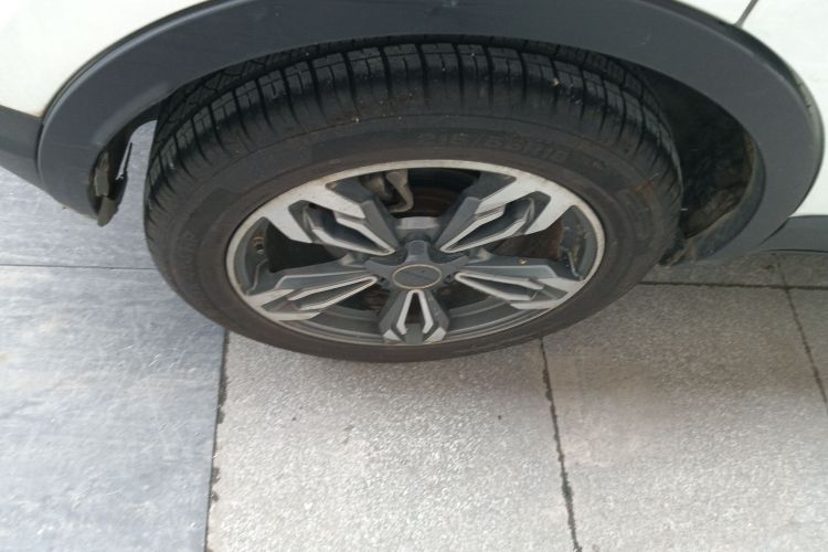 Used Leopaard CS9 2018 1.5T Manual Jingku Model Exterior 5
