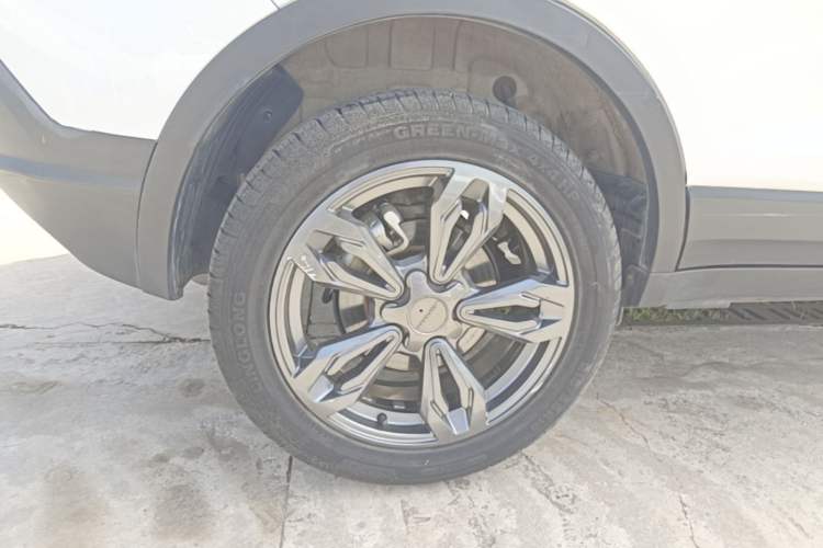 Used Leopaard CS9 2018 1.5T Manual Jingfeng Model Exterior 5