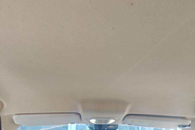 Used Leopaard CS9 2018 1.5T CVT Jingrui Model Headliner
