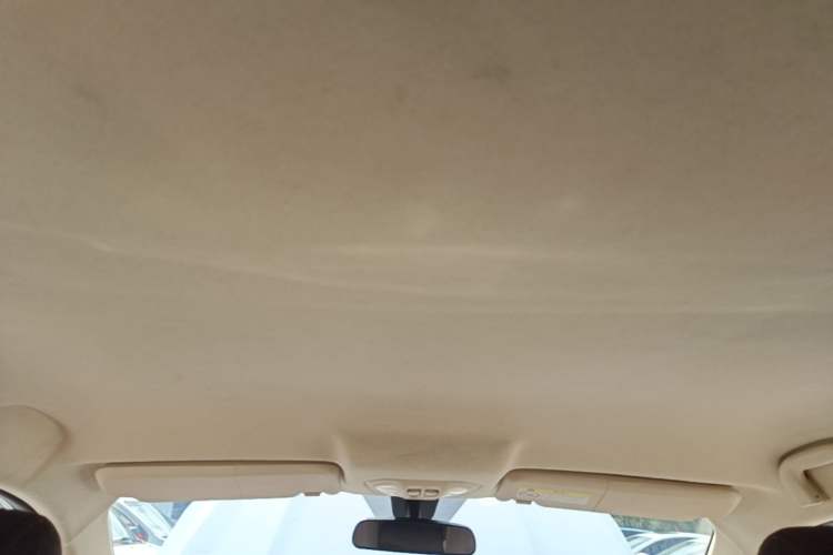 Used Leopaard CS9 2018 1.5T Manual Jingfeng Model Headliner
