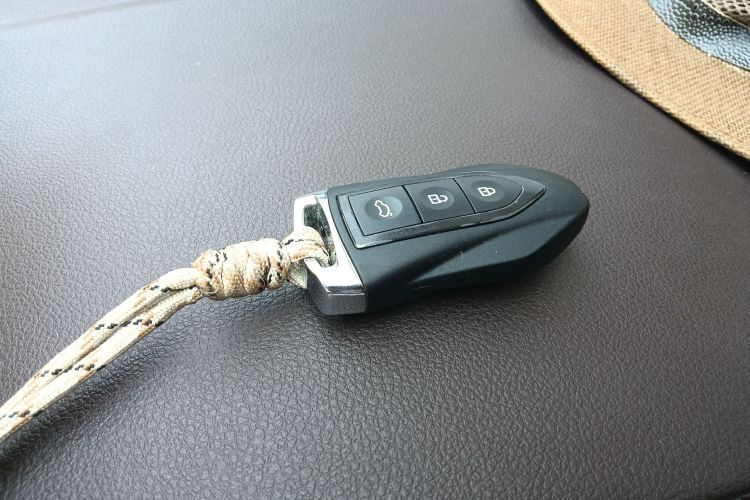 Used Leopaard CS9 2018 1.5T Manual Jingku Model Interior 1